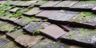 Teversham roof repair costs